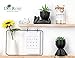 Der Rose Set of 2 Fake Plants Artificial Succulent Plants for Office Desk Accessories Black Bathroom Home Room Aesthetic Decor Indoor