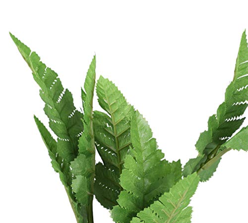 Cnz® 3 Pcs Assorted Lifelike Green Aquarium Plastic Plant Decoration #TOP4