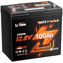 Litime 12V 100Ah Xtra Mini LiFePO4 Battery Bluetooth, 12 Volt Lithium Battey with 100A BMS & Low Temp Protection, Up to 15000+ Deep Cycles for RV, Travel Trailer, Trolling Motor, Marine 4 Packs