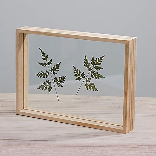 Image of Desi Rang Wooden Rectangular Frame For Wall Decor Table Top Hanging Any Green Or Dry Plant Leaf Picture Photo DIY Gift Home Decoration (Natural,Rec,7.5X5.5Inch,With Dry Leaf)