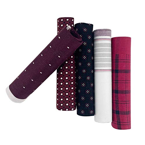 5 Pack Handkerchief Mens Cotton Luxury Hot Silver Gift Box Set, Vintage 40x40cm Fancy Design Pocket Square Hankie Gift Pack(Burgundy)