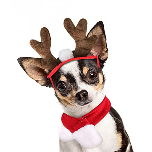 Set Disfraz Navideño para Mascotas con Cuernos y Pañuelo miniatura 5