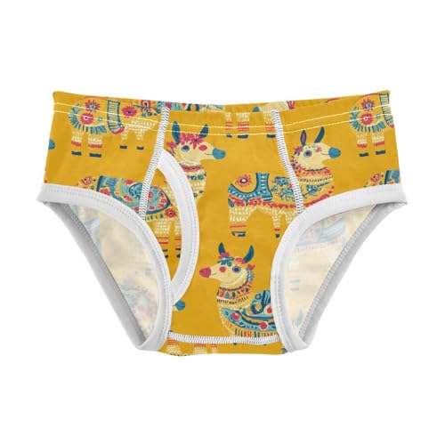 Cute Alpaca Toddler Boy's Underwear 2T 202c0030