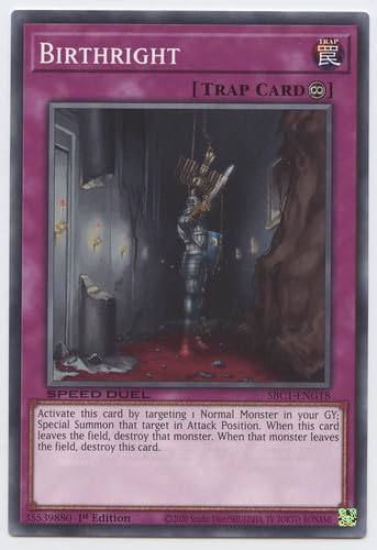 Yu-Gi-Oh! Birthright - SBC1-ENG18 - Común - 1ª edición