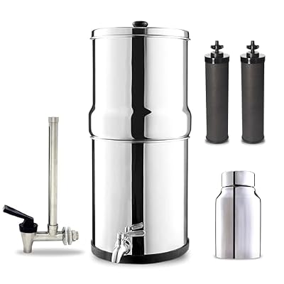 Denali Spring-1.6G (6 Liters)- Stainless Steel Gravity-Fed Water System with 2 Black Filters, SS Tap, POSTreat Filters and Vision Tap
