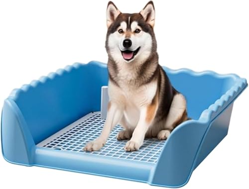 JuneSun 􂦂A֗ȓ匢pgCitFXtjAhHAȒPALXƂ^pgCgCibVtj (u[,L)