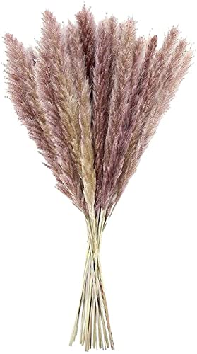 Pampas secas naturais grama palheta ramo boho planta flores secas decoração de casa arranjo de flore