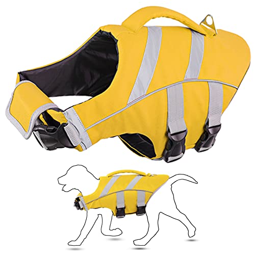 Best Life Jacket For Great Danes