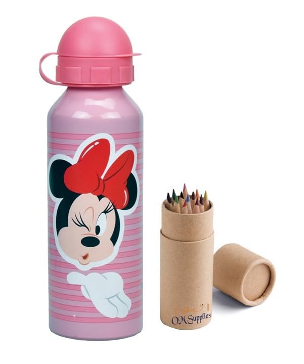 Minnie Characters Aluminium Sports Bottle 520ml, Holiday