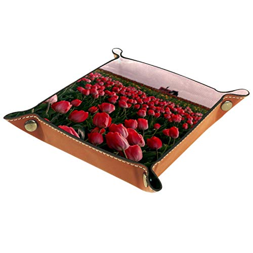 Tray Organizer Storage for Men Women,Tray Desktop Nightstand Dresser Vanity Tray Box Catchall Tray,Office Key Wallet Coin Jewelry Box Tulips Blooming