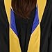 Endea Graduation Masters Hood for Science, Mathematics, Political Science, College Degrees - University Academic Regalia (Gold/Gold/Royal Blue)