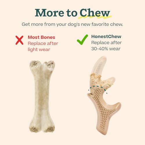 WOOF HonestChew Antler Dog Chew Toy for Dogs Under 25 lbs | Includes Antler & Infinity, plant-based materials, splinter-resistant, durable chews, supports dental care, gift-ready set - Image 7