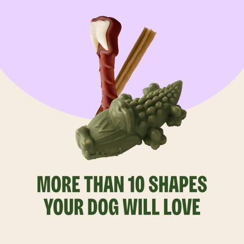 Image of Wellness WHIMZEES Freshzees Natural Dog Dental Treat, Soft Chews, Freshens Breath, Medium Size, 14.81 oz Bag, 14 Count