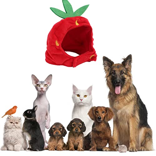 Sombrero disfraz fresa para mascota tamaño ajustable miniatura 6