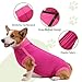 Dotoner Dog Surgery Recovery Suit Dog Suit for Male Female Neuter Anti-Lick Abdominal Wounds Bite Protective Outfit Alternative E-Collar & Cone Breathable Spay Suit for Medium Large Dogs