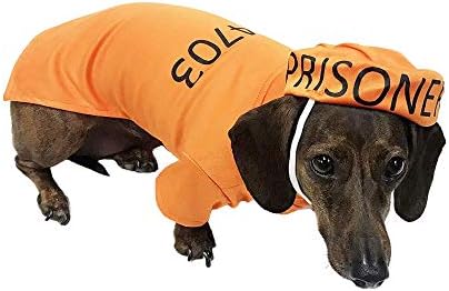 Midlee Orange Prisoner Halloween Costume (Medium)