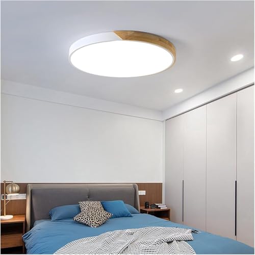 Pendant lighting ceiling LED de 5cm redondo para techos de dormitorios y salones 6