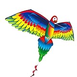 Volar la cometa es sin duda una actividad entretenida tanto para niños como para adultos. Úselo en cualquier área abierta, desde playas hasta parques, y disfrute pasando tiempo de calidad con su familia.