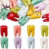 SUNNYCLUE 1 Box 48Pcs 8 Colors Teeth Shaped Beads Colorful Ceramic Beads Bulk Porcelain Dentist Oral 3D Heathy Tooth Shaped Loose Charm Spacers for Jewelry Making DIY Craft Bracelet Earrings Supplies