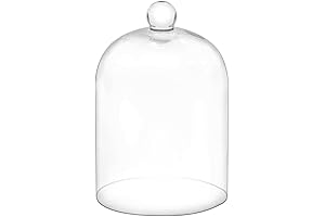 Exquisite 7.5" Tall Handmade Glass Cloche Dome