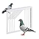 MOGOULUA Vogelkäfig T-Trap Tür Taube Eingangstür Haustier Vögel Einweg-Fenstertür Vogelkäfig Tür für Renntaube Taube Haus Eingangstür Eisen Papagei Eingangstür Vogelzucht Zubehör 33 x 26 cm