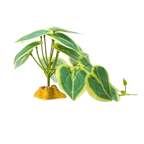 ঒ރNC~OOXeEAeEރgJQwrlHȂ