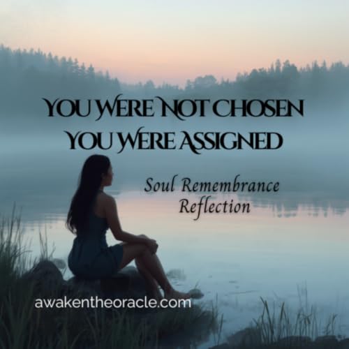 You Were Not Chosen | You Were Assigned