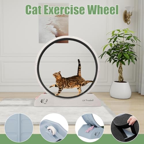 Roue de course de chat avec teaser intégré pour stimuler l'exercice - 4