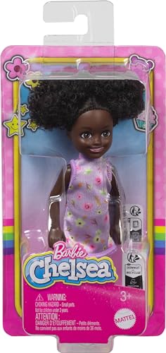 Barbie Poupée Chelsea et Ses Amis avec Accessoire thématique - Modèles Assortis