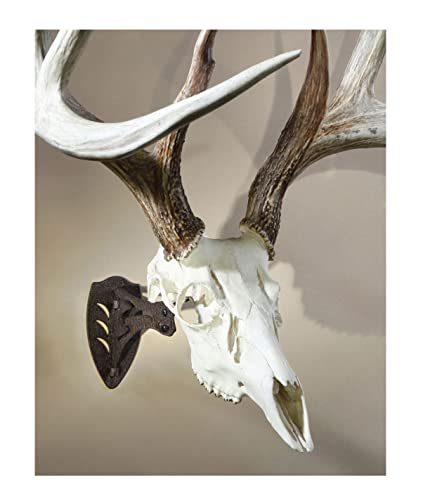 Skull Hooker Little Hooker European Trophy Mount - Perfect Kit For Hanging And Mounting Taxidermy Deer Antlers And Other Skulls For Display – Robust Brown #TOP2