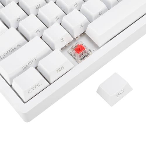 Teclado Mecánico Gaming Yoidesu 80% RGB 3 modos miniatura 7