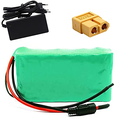 TGHY 24V 6000mAh E-Bike Lithium-Akku mit BMS und Ladegerät für 500W Motor Geeignet für Elektroscooter Elektro-Gokart Kinderauto Elektrorollstuhl Heimwerker-Elektrowerkzeuge,Xt60 Cover
