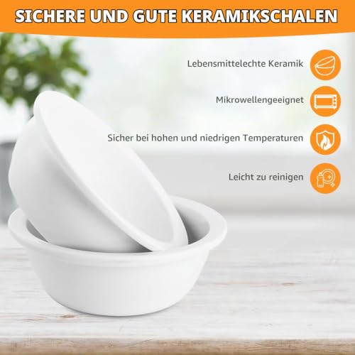 Keramischer Futternapf mit 15° Gekippter Katzenstation, Metallhalter und Silikonunterlage, 350ML Fressnapf und Wassernapf für Katzen und Hunde