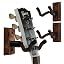 Black Walnut 3 Pack