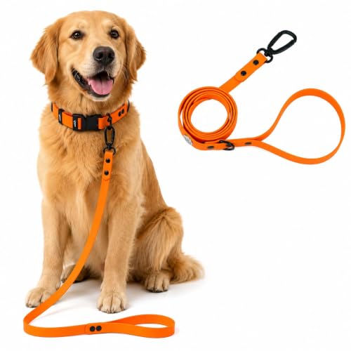 Image of Adil's Biothane Waterproof Dog Collar, Dog Leash & Collar Leash Combo | Heavy Duty TPU Coated Webbing | Adjustable Quick Release Buckle | Odour Resistant (Orange, M-18, Leash Only)