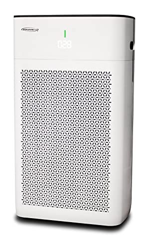 Soleus Air Exclusive Large Room Air Purifier, Dual True