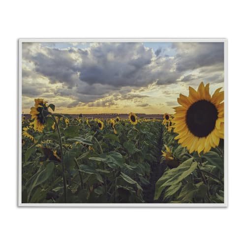 Stupell Industries Sunny Sunflower Patch Field Panoramic Cloudy Sky, Design by Kali Wilson