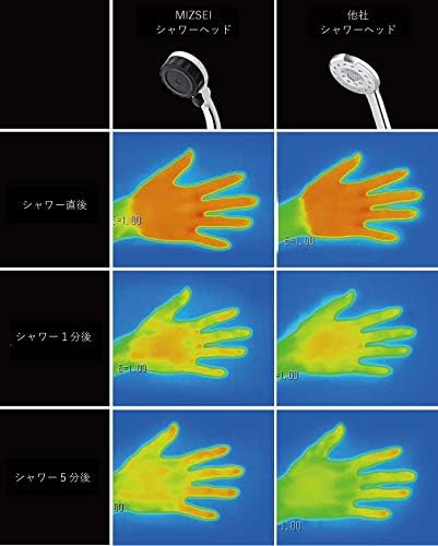 MIZSEI ミストップ・リッチシャワー マイクロナノバブル SH216-2T シャワーヘッド