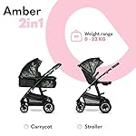 LIONELO Amber Kinderwagen 2 in 1 Kombikinderwagen, Kinderwagen Set mit sportlichen Sitz und fester Babywanne, Tasche, Moskitonetz, Abdeckung Regenblatt (DREAMIN)