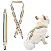Hundewindel-Hosenträger | verstellbare Elastizität | Bauchbänder für Hunde | Hundegeschirr | weibliche männliche Welpen Kleid & Windelhalter | für kleine, mittelgroße und große Hunde