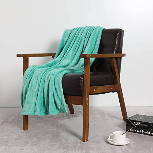 Image of NANPIPER Fleece Blankets, Super Soft Flannel Fuzzy Blanket for Couch, Luxury Cozy Lightweight Microfiber Dog Blanket-Throw Size,Lake Blue