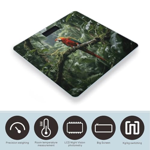 Báscula digital Parrot_rainforest de vidrio templado 400 lb miniatura 3