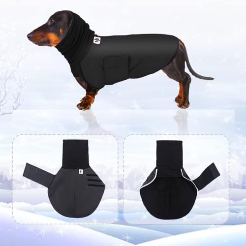 Abrigos de perro salchicha en miniatura con chubasqueros para perros pequeños 2