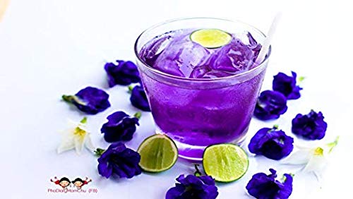50 grams Organic Dried butterfly pea flower Clitoria ternatea Herbs Herbal healthy tea drink recipes food coloring Antioxidants aging wrinkles - Thumbnail 7