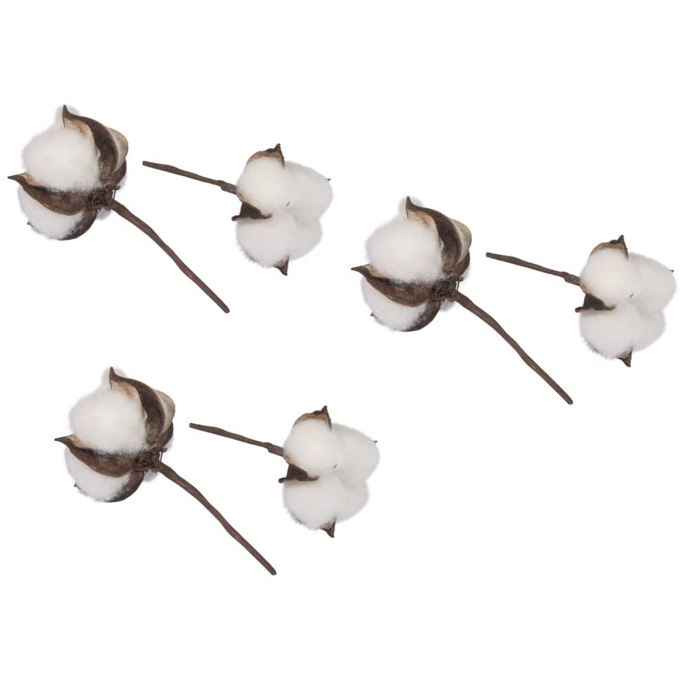 Rayher 55808000 Six Cotton Stems with Natural Cotton Flowers for Wreath Making, Crafting and Home Décor, 10cm