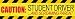 MagnaCard Magnetic Bumper Sticker 'Caution Student Driver and Screaming Parent', 12 x 3 x 0.1 inches (20038)