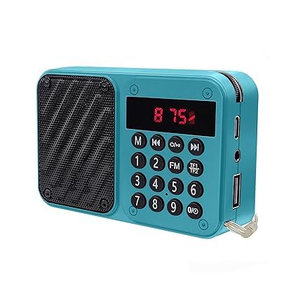 Portable Digital FM Radio with LED Display, USB Port, TF Card Support, Numeric Keypad, Black (Blue)-image-38