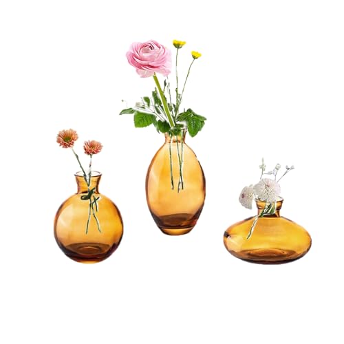 Bud Vases Glass EylKoi Mordern