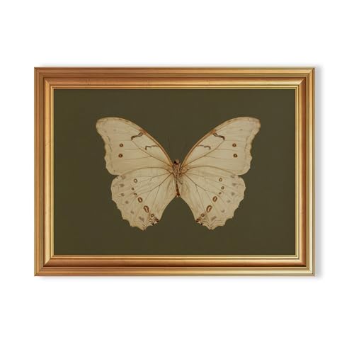 EJPFOGV Butterfly Framed Canvas Wall Art Dark Green Background 12x16 inches