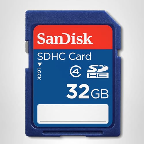 SANDISK 32 GB Class 4 SD Flash Memory Card SDSDB-032G-B35